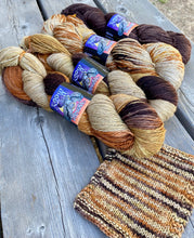 Alder Sport -- Lady in Paris Colorway, Lady in Paris Sprinkle Dye, and Dark Brown Semisolid