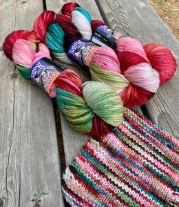 Dryad Organic Worsted - Paisley Colorway