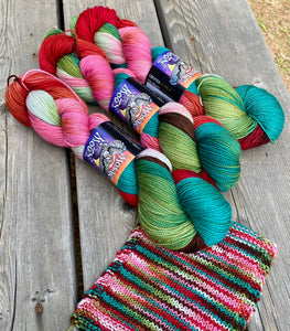 Solstice Sock — Paisley Colorway