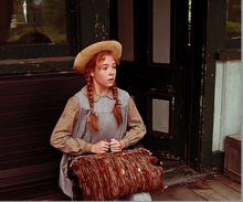 Birch Fingering- Anne Shirley Carpet Bag Semisolid