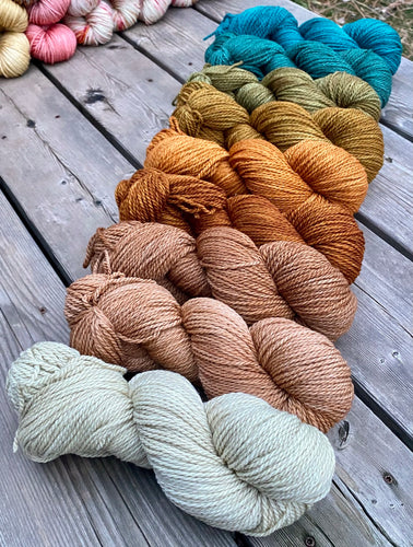 Meadowsweet Worsted - Marshland Gradient set of Nine 4 oz skeins