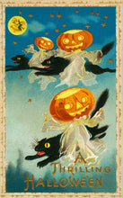 Meadowsweet Worsted - Vintage Halloween Colorway