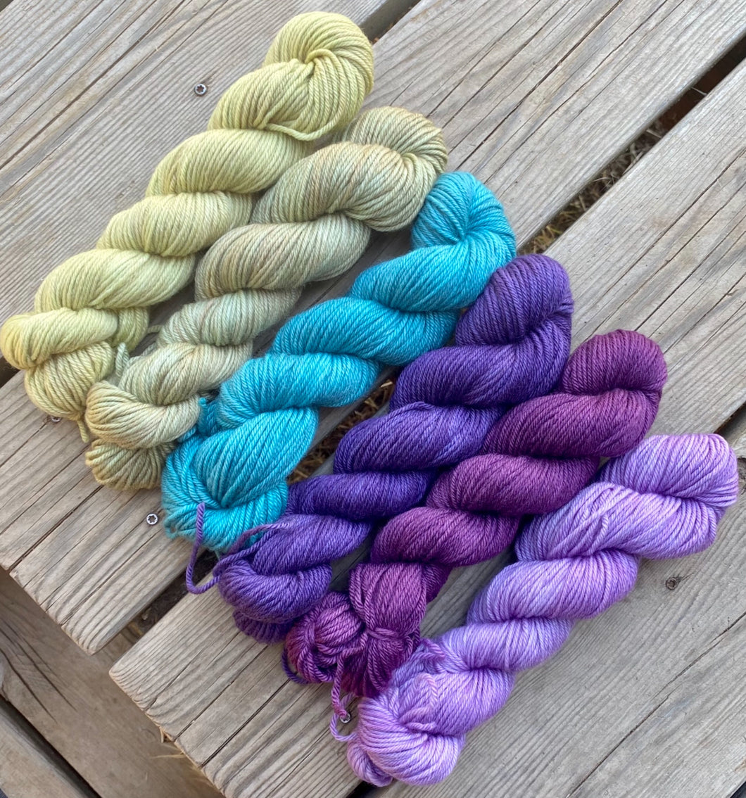Dryad Organic Worsted - Peacock Feather Gradient Set