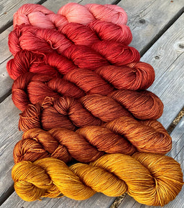 Laurel Sport- Spiced Cider Gradient Set of (7) 4 oz skeins.