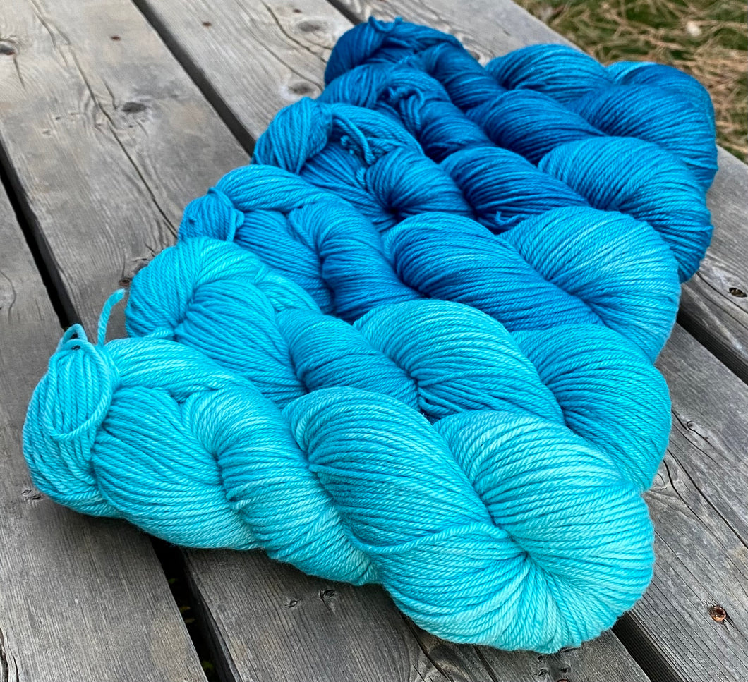 Dryad Organic Worsted - Aqua to Teal Gradient set of (6) 4 oz skeins