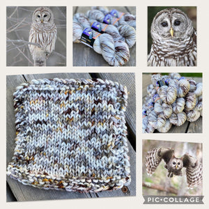 Solstice Sock — Barred Owl Sprinkle Dye
