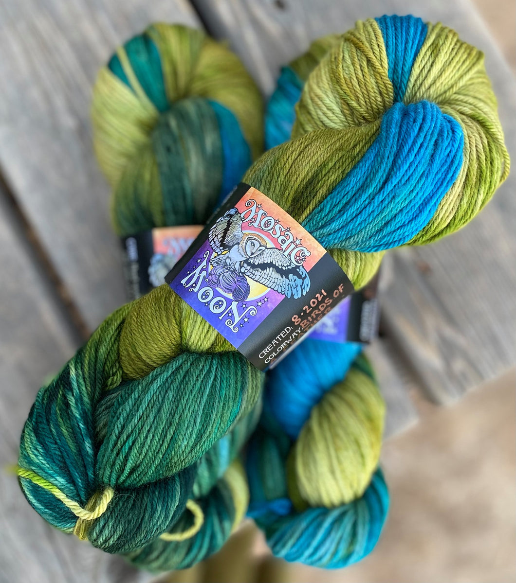 Dryad Organic Worsted - Birds of a Feather  Colorway